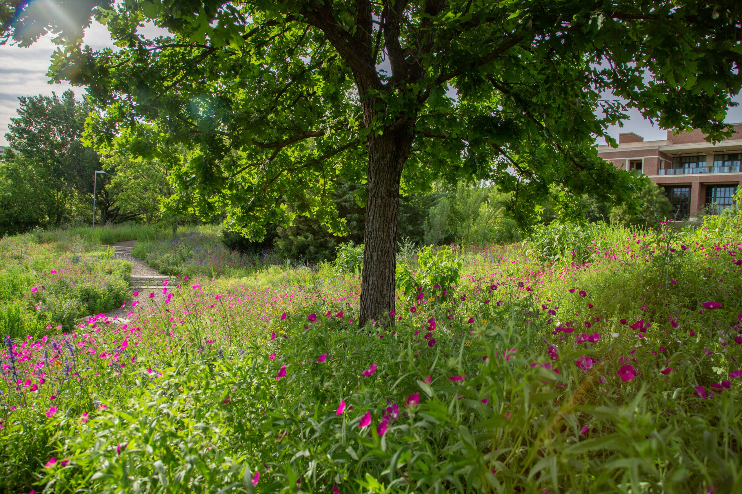 Laura W. Bush Native Texas Park at sunset, April 21, 2023.